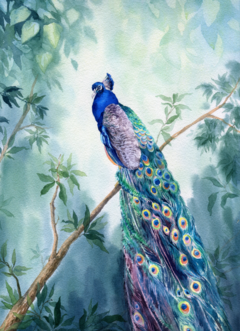 Mural Decorativo Vinilo de Pavo Real en Acuarela  Modelo MW.ACU.03. - comprar online