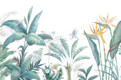 Tropical Botanical Watercolor Vinyl Mural  Model MW.ACU.09. - buy online