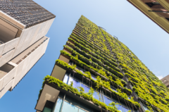 Mural de edificio ecológico con jardín vertical, MW.ARQ.20 - comprar online