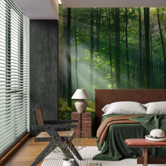 Forest Wall Mural with Sun Rays, Perfect for a Natural and Relaxing Space - MW.BOS.11 on internet