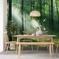 Forest Wall Mural with Sun Rays, Perfect for a Natural and Relaxing Space - MW.BOS.11