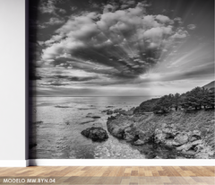 Coastal view dramatic sky mural, MW.BYN.04 - buy online