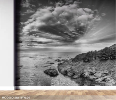 Costa con cielo dramático mural natural, MW.BYN.04 - comprar online
