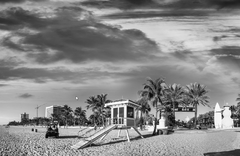 Playa de Miami mural tropical, MW.BYN.06 - comprar online