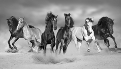 Caballos salvajes mural dinámico, MW.BYN.07 - comprar online