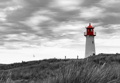 Faro rojo en la costa mural marítimo, MW.BYN.19 - comprar online