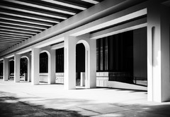 Columnas arquitectónicas en blanco y negro mural estructural, MW.BYN.20 - comprar online