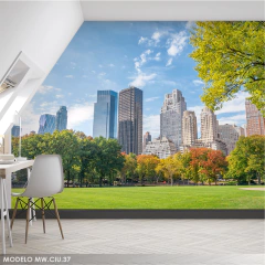 Vinyl Mural Central Park NYC, Urban Landscape Wall Mural MW.CIU.37 - buy online