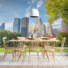 Vinyl Mural Central Park NYC, Urban Landscape Wall Mural MW.CIU.37