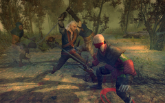 THE WITCHER (ENHANCED EDITION DIRECTOR’S CUT) PC - ENVIO DIGITAL na internet