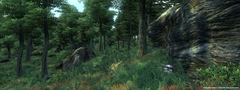 THE ELDER SCROLLS IV OBLIVION (GAME OF THE YEAR EDITION) PC - ENVIO DIGITAL - loja online