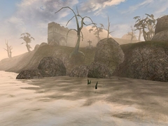 THE ELDER SCROLLS III MORROWIND (GAME OF THE YEAR EDITION) PC - ENVIO DIGITAL - loja online