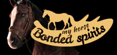 MY HORSE: BONDED SPIRITS PC - ENVIO DIGITAL