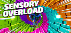 SENSORY OVERLOAD PC - ENVIO DIGITAL