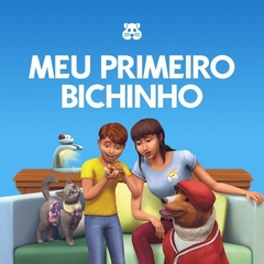 COLEÇÃO DE OBJETOS THE SIMS 4 (AVULSO) - loja online