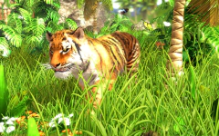 WILDLIFE PARK 3 (DELUXE EDITION) PC - ENVIO DIGITAL - loja online