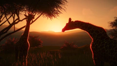 PLANET ZOO (DELUXE EDITION) PC - ENVIO DIGITAL