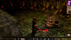 NEVERWINTER NIGHTS (ENHANCED EDITION) PC - ENVIO DIGITAL na internet