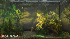 AQUARIST PC - ENVIO DIGITAL - loja online