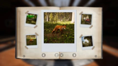 Imagem do MORELS THE HUNT PC - ENVIO DIGITAL