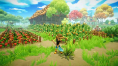 EVERDREAM VALLEY PC - ENVIO DIGITAL
