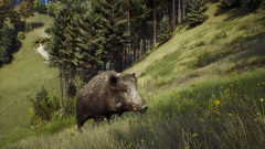 WAY OF THE HUNTER (ELITE EDITION) PC - ENVIO DIGITAL na internet