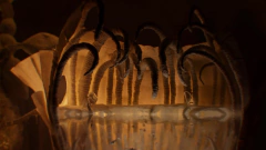 Imagem do PAPETURA PC - ENVIO DIGITAL