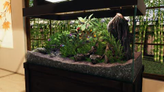 AQUASCAPERS PC - ENVIO DIGITAL - BTEC GAMES