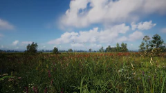 RUSSIAN SOUL SIMULATOR PC - ENVIO DIGITAL - loja online