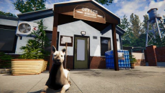 ANIMAL SHELTER (FAMILY BUNDLE) PC - ENVIO DIGITAL - BTEC GAMES