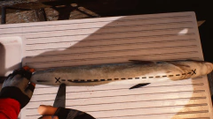 FISHING BARENTS SEA PC - ENVIO DIGITAL - loja online