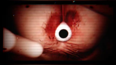 SHIRIME THE CURSE OF BUTT-EYE PC - ENVIO DIGITAL - loja online