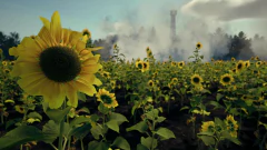 DEATH FROM ABOVE (COMPLETE EDITION) PC - ENVIO DIGITAL - loja online