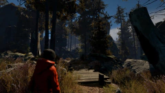 Imagem do THROUGH THE WOODS PC - ENVIO DIGITAL