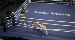 TACTIC BOXING PC - ENVIO DIGITAL na internet