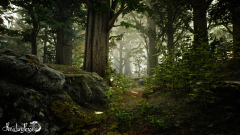 Imagem do REACHING FOR PETALS PC - ENVIO DIGITAL