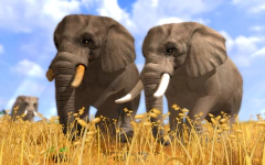 Imagem do WILDLIFE PARK 3 (DELUXE EDITION) PC - ENVIO DIGITAL