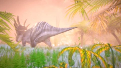 HIDDEN TREASURES IN THE FOREST OF DREAMS PC - ENVIO DIGITAL - BTEC GAMES