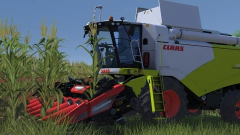 PROFESSIONAL FARMER (CATTLE AND CROPS) PC - ENVIO DIGITAL - loja online
