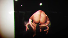 SHIRIME THE CURSE OF BUTT-EYE PC - ENVIO DIGITAL