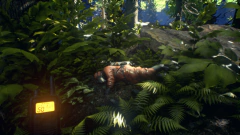 ASEMBLANCE OVERSIGHT PC - ENVIO DIGITAL