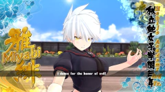 SENRAN KAGURA ESTIVAL VERSUS PC - ENVIO DIGITAL