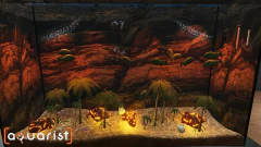 Imagem do AQUARIST PC - ENVIO DIGITAL