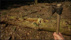 Imagem do EVERGREEN MOUNTAIN LIFE SIMULATOR PC - ENVIO DIGITAL