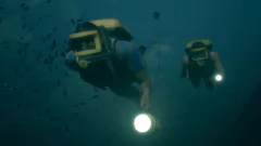 THE DARK PICTURES ANTHOLOGY MAN OF MEDAN PC - ENVIO DIGITAL - comprar online