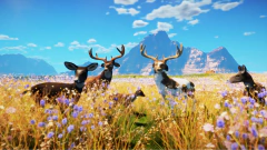 ANIMALLICA PC - ENVIO DIGITAL