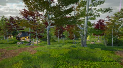 SOLACE CRAFTING PC - ENVIO DIGITAL