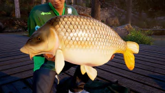 FISHING SIM WORLD PRO TOUR PC - ENVIO DIGITAL