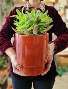 MACETA NUEVA LISA - comprar online