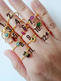 ANILLO AURA - BOSQUE, ARTE Y BOTÁNICA 